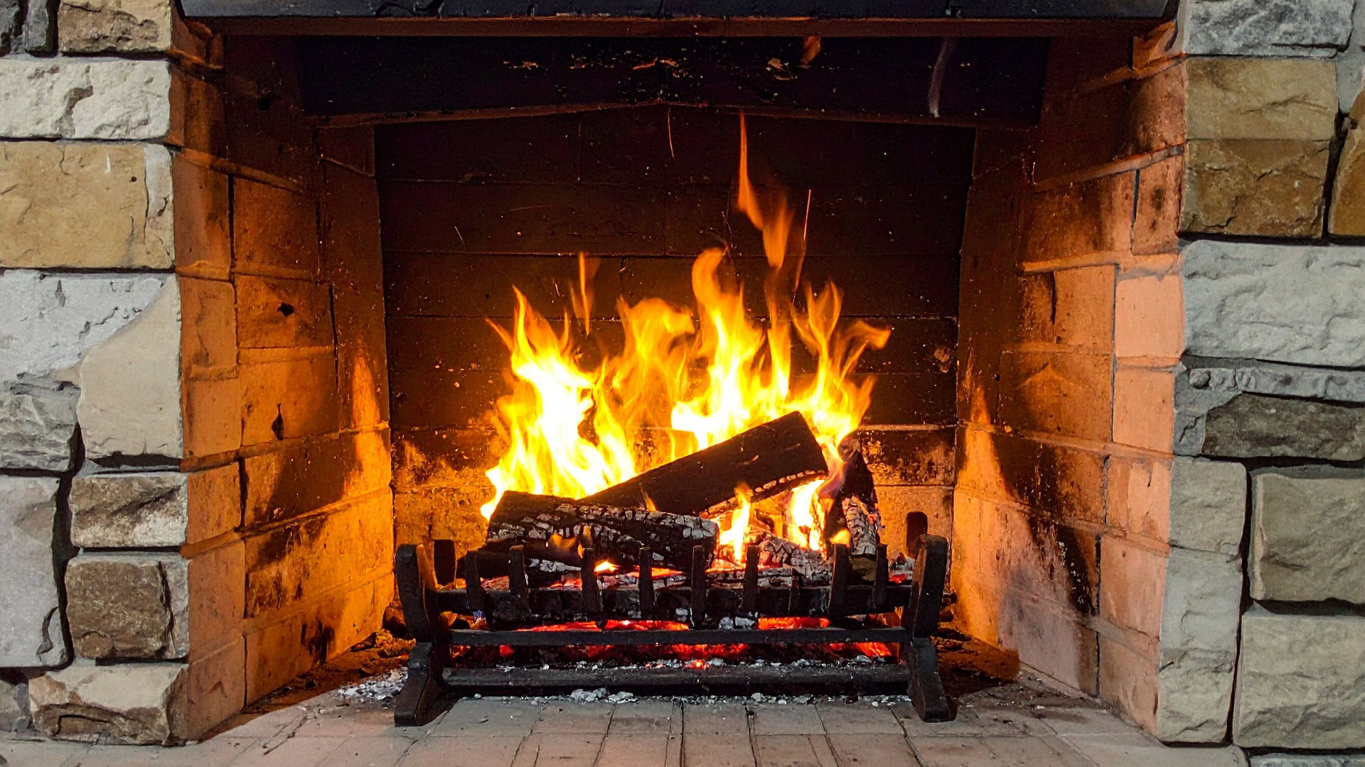 Natura wokół siedliska